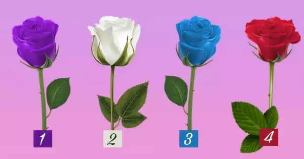 Find Out What Your Favorite Rose Color Says About Your Future